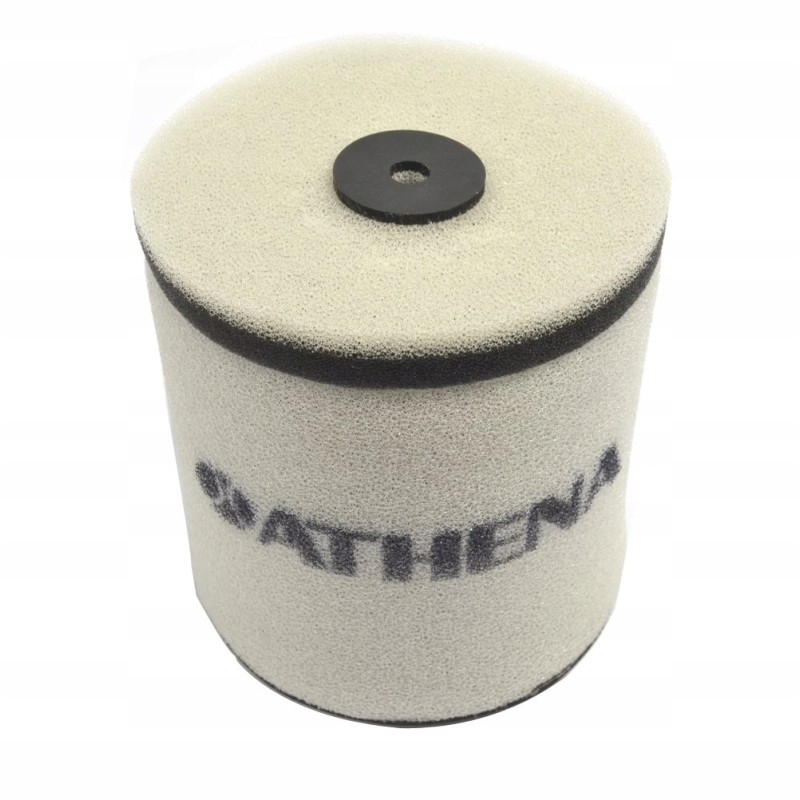 Air filter honda trx 250 tm 12 14