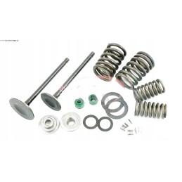 Set of valves atv valve 250 air shineray stxe