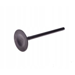 Set of valves atv valve 250 air shineray stxe