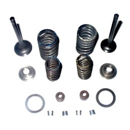 Valves spring 200 bashan atv valve seal