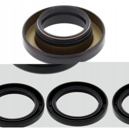 Honda Trx 500 differential repair kit