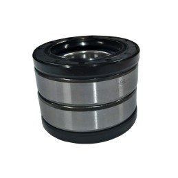Rear rear wheel bearing Odes 800 PFI USA