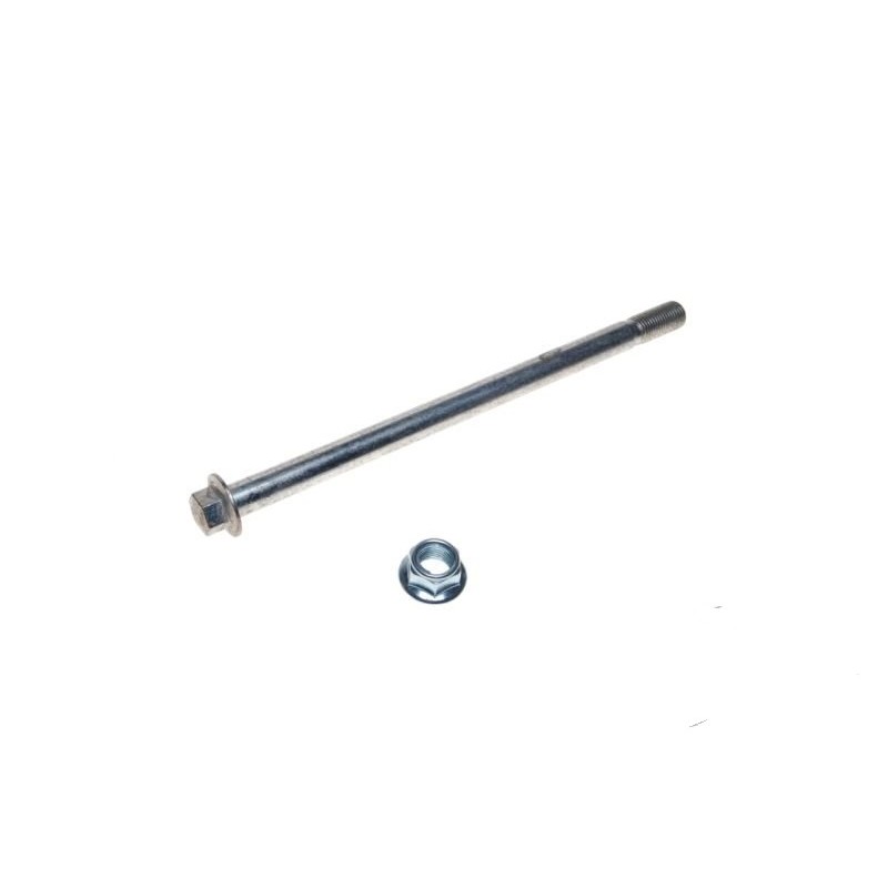 Bashan atv 200 250 swing arm screw dl 25cm m12