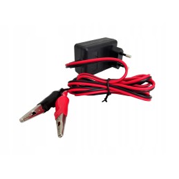 Battery charger 12v dc 13 8v 2 0 a