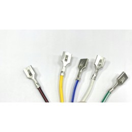 Igniter stator 8 coils quad atv bashan 200 250 eagle external 89mm internal 32mm