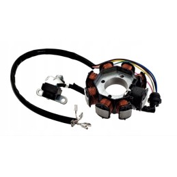 Ignition coil atv 200 250 bashan shinray hassan