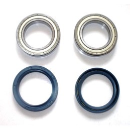 ATV shineray 250 axle hub bearings 42x55x7 6907z