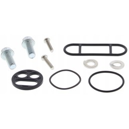 Repair kit for yamaha yfm 300 grizzly 2wd