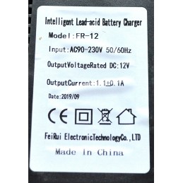 12v charger for a quad or KXD cross bike battery