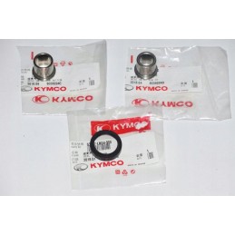 Kymco KXR Maxxer 50 90 swing arm repair kit