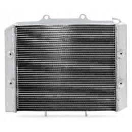 Radiator cfmoto utv ssv 500 625 800 1000
