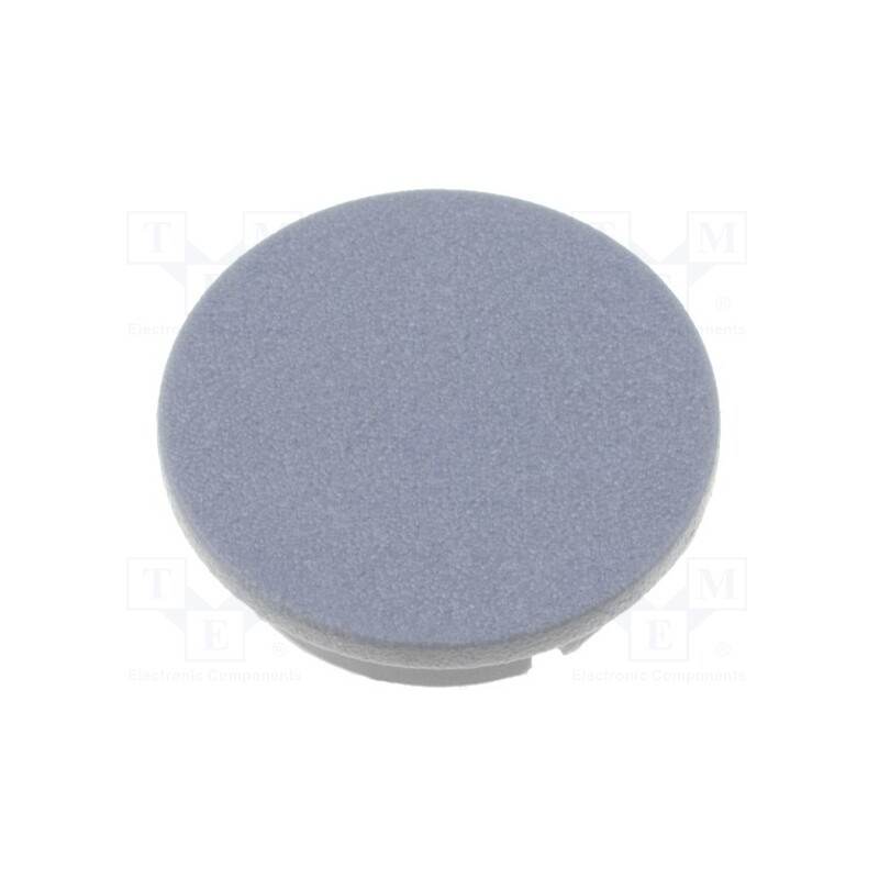 2 pcs x MENTOR - 4311.0041 - Cap, plastic, grey, push-in, G4311.6131