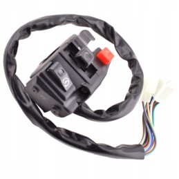 Turn signal light switch for ATV 110