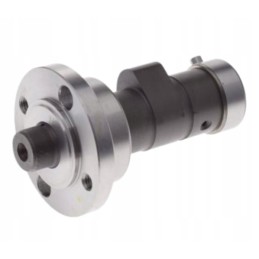 Chinese ATV Quad Bashan 250 4t camshaft