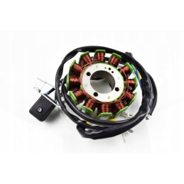 Igniter atv 250ccm 12 coils atv quad 200 250cc