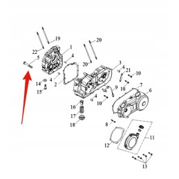 Engine crankcase screw lucky star 250 300 400 original