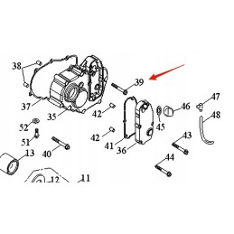 Lucky star crankcase cover bolt