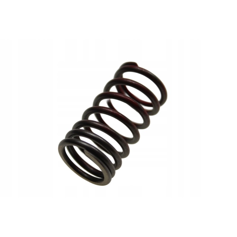 Valve spring lucky star 250 300 original
