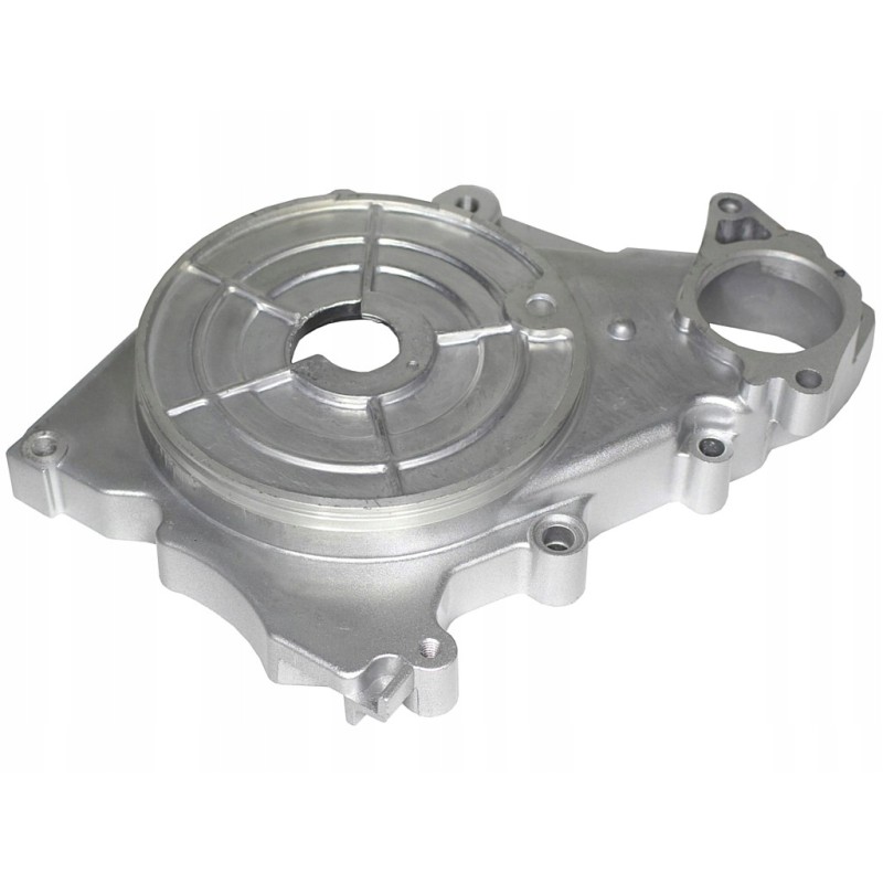 ATV110 crankcase for lower starter, engine level