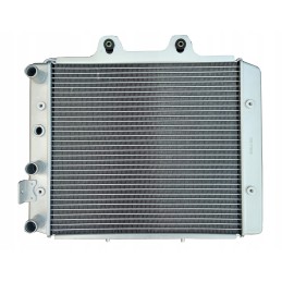 Radiator cf moto 800 x8 cforce 820 cfmoto new