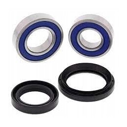Front wheel bearings with seals Trx 420te