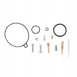 All balls carburetor repair kit can am ds 90 4 stroke 08 19 90x 12 19