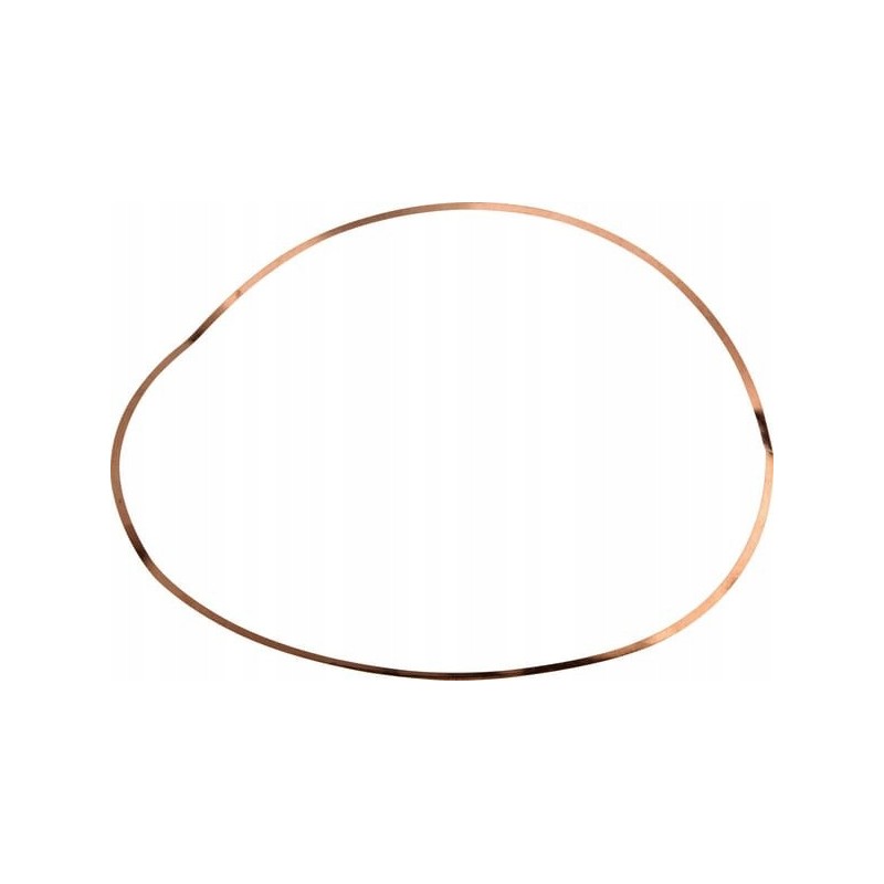 Cylinder liner washer for 3-cylinder engine 2690315