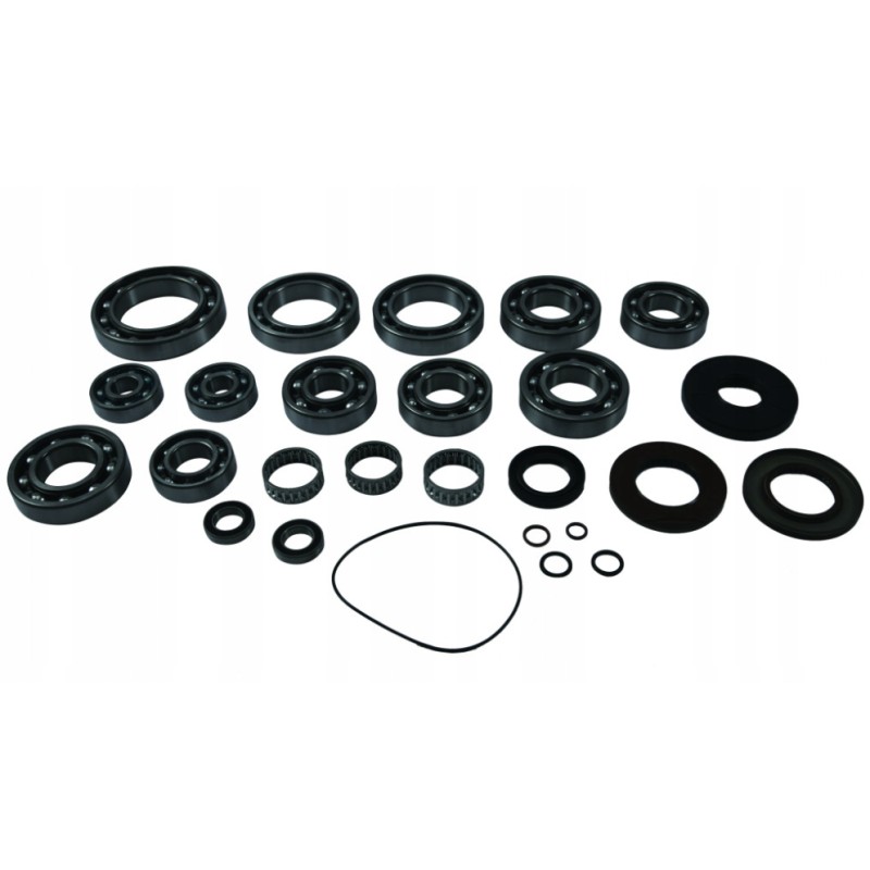 Polaris RZR 925 differential repair kit