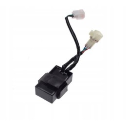 Ignition module for ATV Bashan BS250S 5 Quad 250