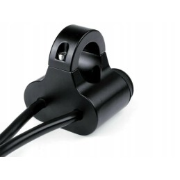 Double handlebar switch