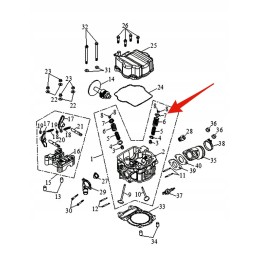 Valve disc for the lucky star valve 250 300 400