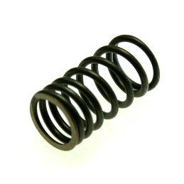 Valve spring atv quad adly 280 beyond yh 260