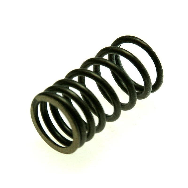 Valve spring atv quad adly 280 beyond yh 260