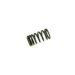 Valve spring atv quad adly 280 beyond yh 260
