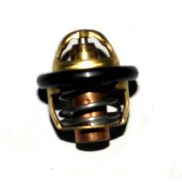 Thermostat atv shineray 250st 9c