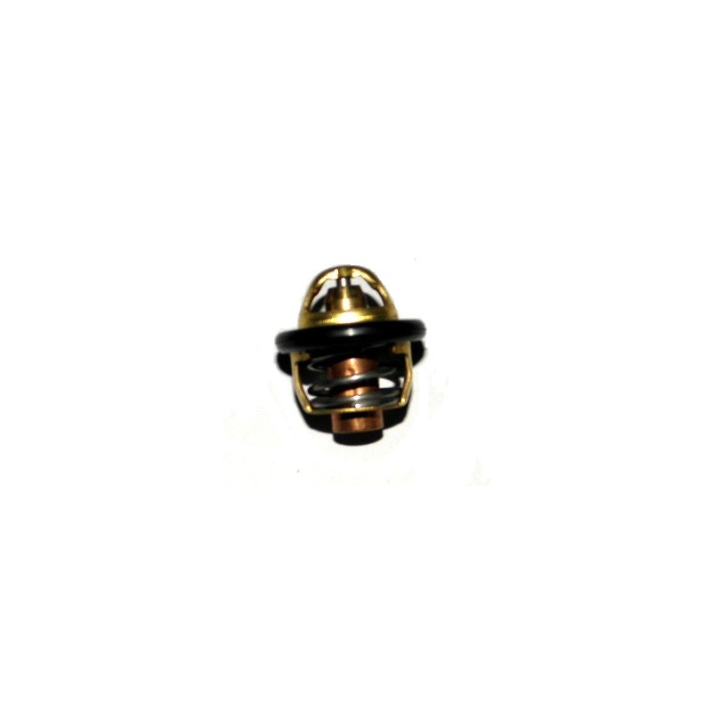 Thermostat atv shineray 250st 9c