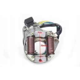 Ignition device stator atv 110 2 coils magneto