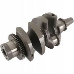 Crankshaft Polaris Scrambler Sportsman 850 10 21