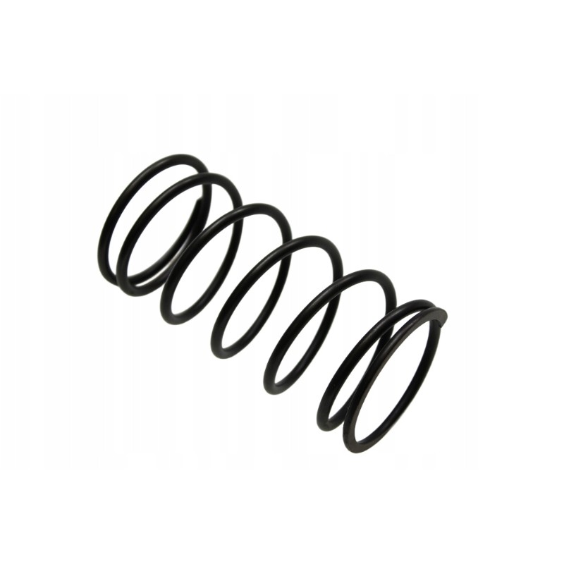 Carburetor spring lucky star 250 300 original