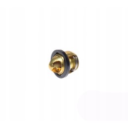 Thermostat atv quad cf moto cfmoto 500 600