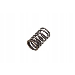 Valve spring gy 6 50 4t 139qmb external ben