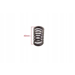 Valve spring gy 6 50 4t 139qmb external ben