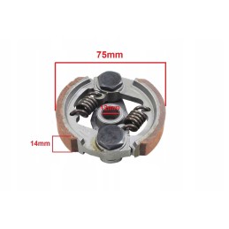 Pocket clutch, two springs, bri cone