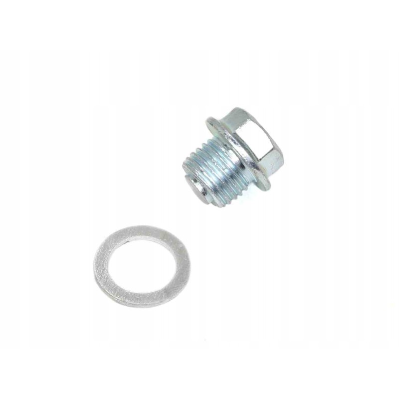 Timing chain tensioner bolt ATV Cros Street