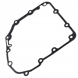 Lucky star 250 300 alternator cover gasket