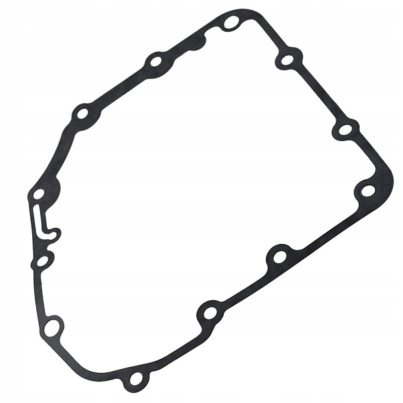 Lucky star 250 300 alternator cover gasket