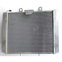Radiator cfmoto 800 1000 7020 180110 00001