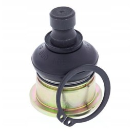 Lower kingpin yamaha grizzly 660 02 08