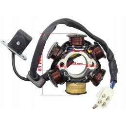 Ignition device stator ATV 125 6 coils variant 2