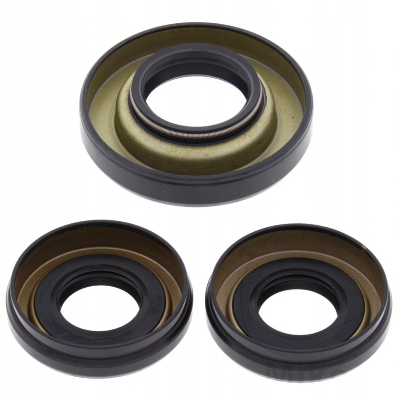 Honda Trx 350 differential repair kit